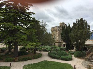 IMG_0595.jpg IMG_0595.jpg