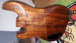 Schecter Korpus Back.jpg