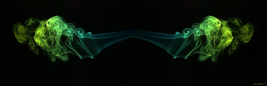 comp_comp_pic 150 Kopie.webp