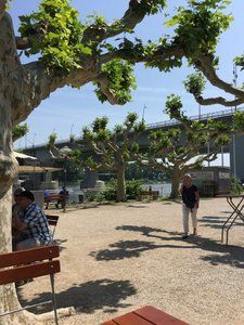 IMG_0743.JPG IMG_0743.JPG