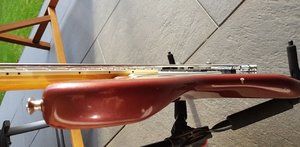Celinder 3.jpg