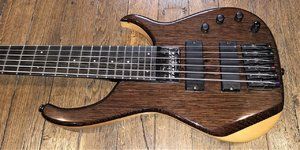 Modulus Graphite Quantum 6 EMG + Aguilar (7).jpg