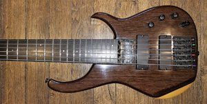 Modulus Graphite Quantum 6 EMG + Aguilar (11).jpg