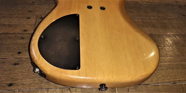 Modulus Graphite Quantum 6 EMG + Aguilar (22).webp