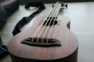 Ortega Lizard Bass Ukulele1.jpg