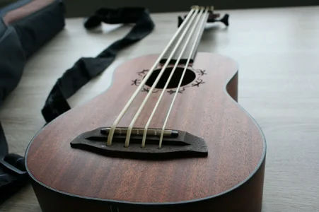 Ortega Lizard Bass Ukulele1.webp
