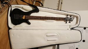 Gigback01 (1).jpg Gigback01 (1).jpg