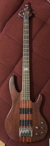 ESP Ltd D-4 / Natural Satin