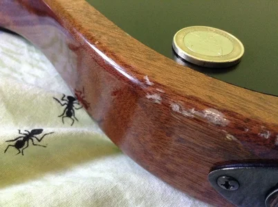 Sadowsky NYC 25 Anniversary (14).webp