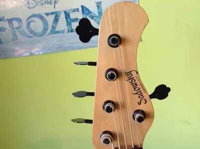 Sadowsky NYC 25 Anniversary (19).webp