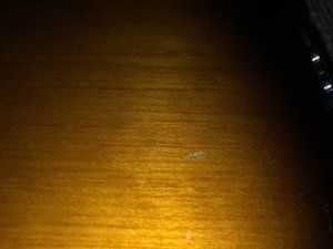 IMG_8948.jpg