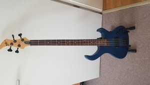 ESH Various 4 E Bass mit H-Tuning (wie 5-Saiter) zu verkaufen