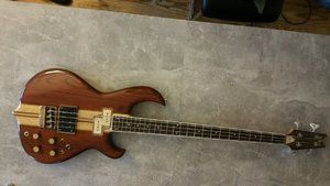 Hoyer Taurus Bass vintage Aktiv