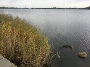 781AF420-02B5-402E-A14B-1151B73C2866.jpeg