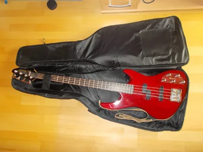 Bass mit Tasche.webp