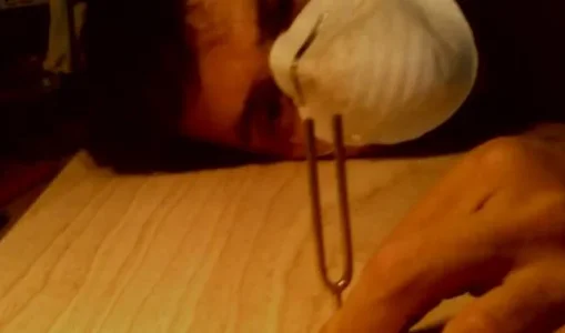 Korpus stimmgabel.webp