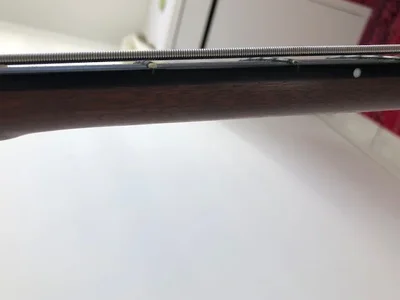 Magnus Krempl Ovankol 5.webp