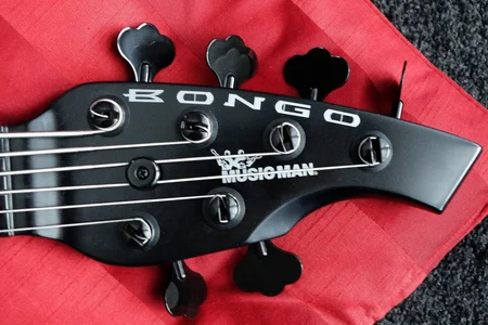 08 head frontal.webp