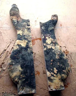 buckeye burl #7_edited.webp