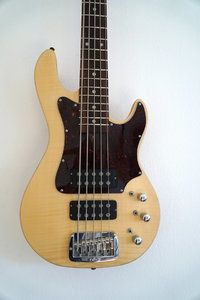 GL_L2500_trib-Pickguard.JPG GL_L2500_trib-Pickguard.JPG