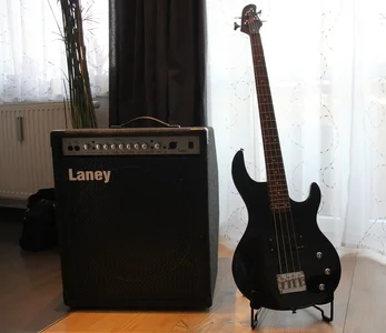 Laney und coxx.webp