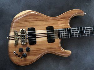Alembic Elan 5-String