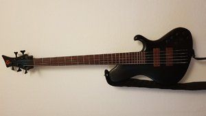Marusczyk Paddok 5String