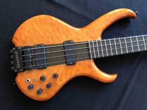 Suche : Clover 5 string-headless