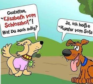 FB_IMG_1581143776018.jpg