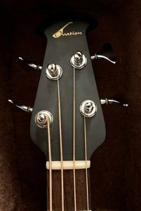 Ovation Bass -