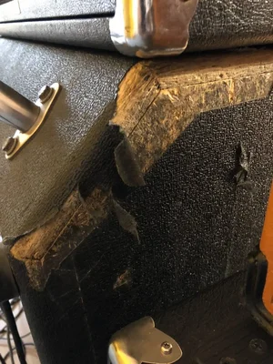 Ampeg - 14 von 14.webp