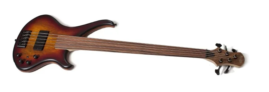 Bassline_Buster_CW_5_fretless_burst[1].webp