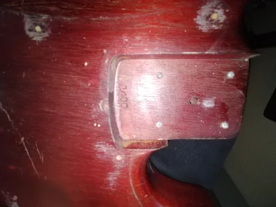 20200306_122841.webp 20200306_122841.webp