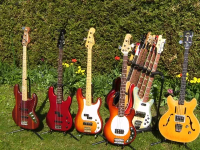 Bassfotos 2011-04 039.webp