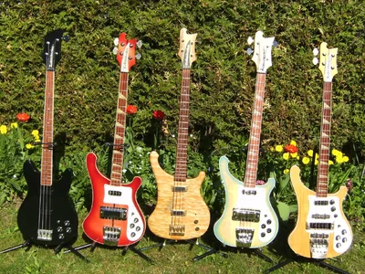 Bassfotos 2011-04 049.webp