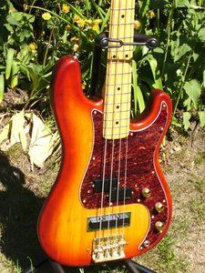 Bassfotos 2011-05 008.jpg