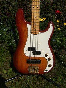 Bassfotos 2011-04 027.jpg