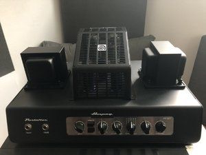 Ampeg PF-50T Bass Head die Vollröhre mit DI Funktion PREISUPDATE