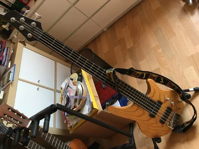 image.webp image.webp