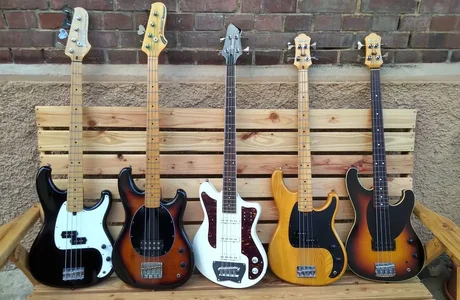 meine bässe ibanez sammlung.webp