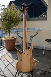 MTD 535-24 Walnut-Ash-BirdseyeMaple-6.jpg