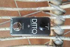 TC Electronics Ditto Looper, für Gitarre, Bass, Keyboard, Gesang