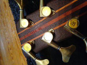 Warwick Streamer Stage 2 - 5 Left (10).jpg Warwick Streamer Stage 2 - 5 Left (10).jpg