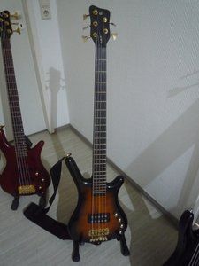 P1050880.JPG P1050880.JPG