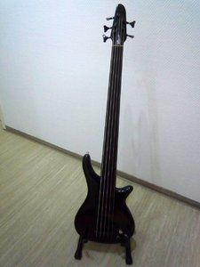 Nanyo-Fretless.JPG Nanyo-Fretless.JPG