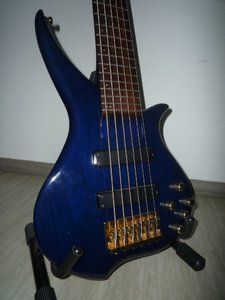 body-seethrough.JPG body-seethrough.JPG