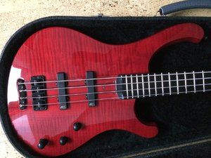 Mayones Viking IV, Bass durchgehender Hals, Handmade in Gdansk