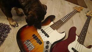 Bass  (1).JPG