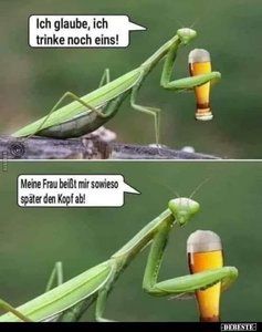 FB_IMG_1592847417669.jpg FB_IMG_1592847417669.jpg