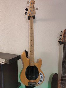 IMG_20200320_172355.jpg IMG_20200320_172355.jpg